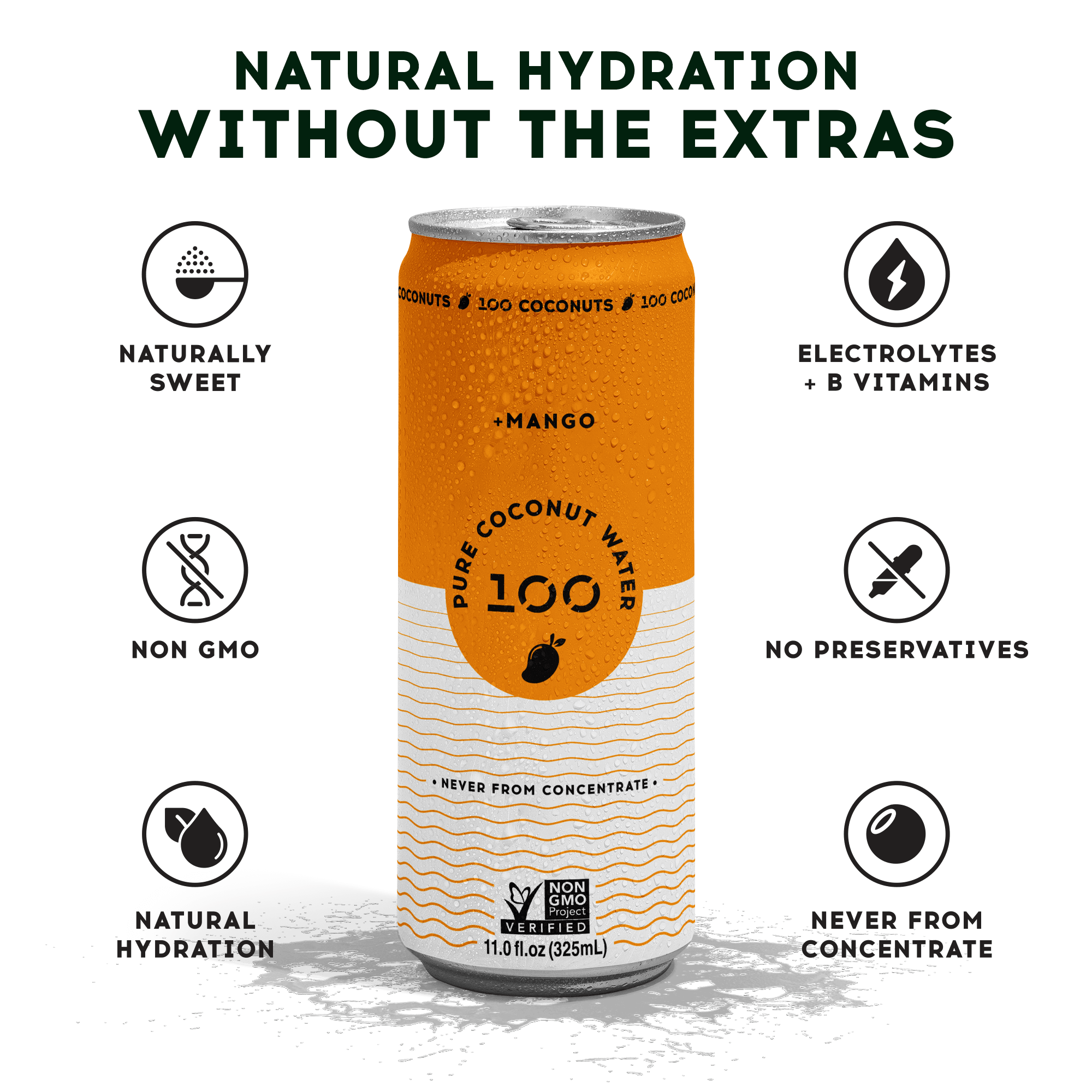PURE COCONUT WATER + MANGO