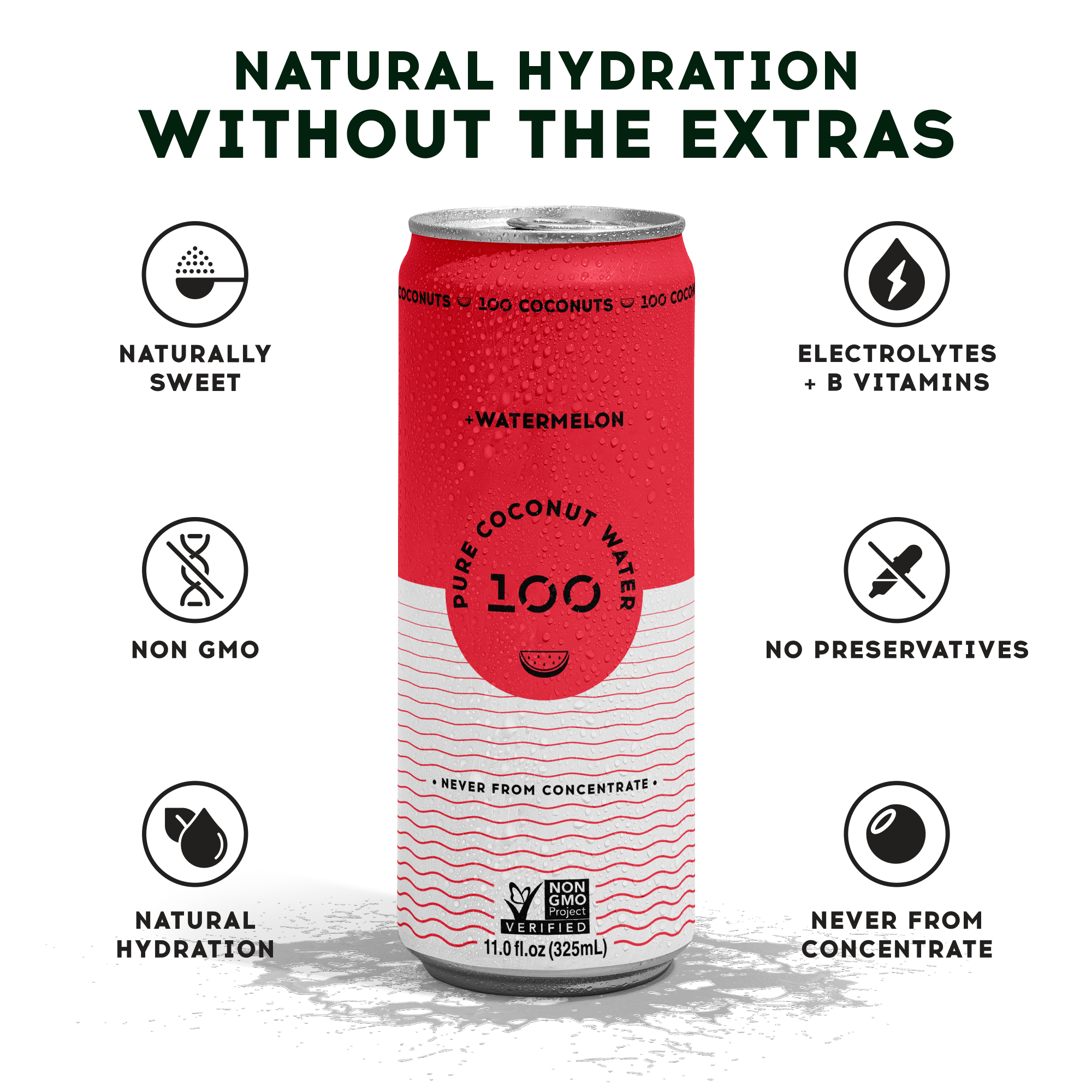 PURE COCONUT WATER + WATERMELON